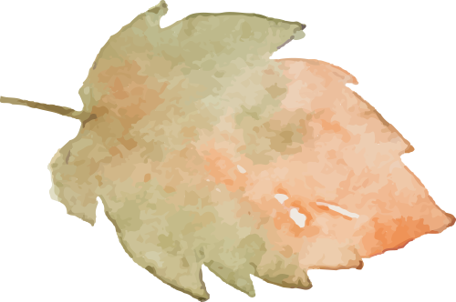 微信图片_20250610090140.png