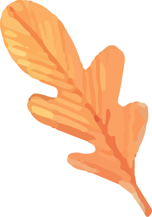 微信图片_2025-11-28_100153_731.png